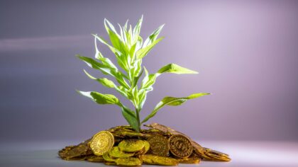 How compound growth builds wealth in stocks and bonds over time