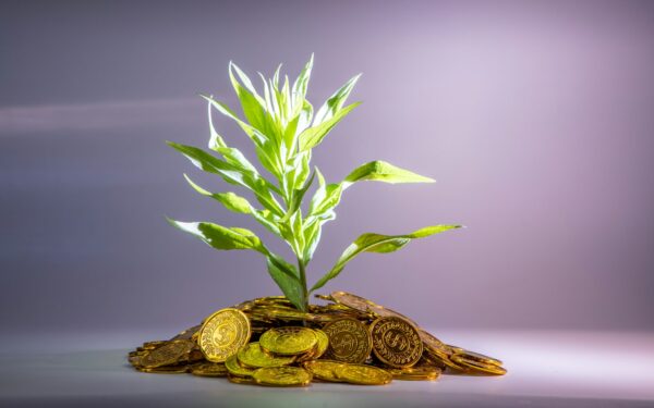 How compound growth builds wealth in stocks and bonds over time