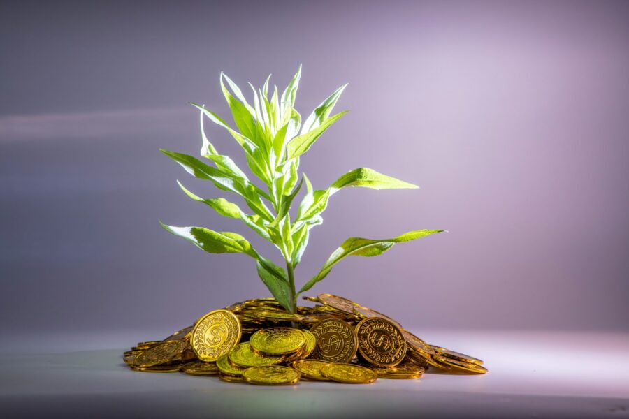 Stacked coins growing plant clock