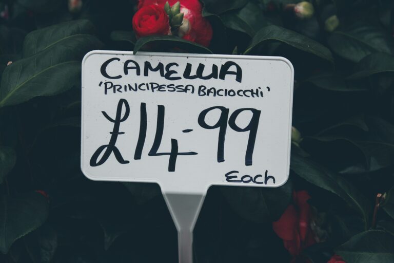 Supermarket aisle price tags
