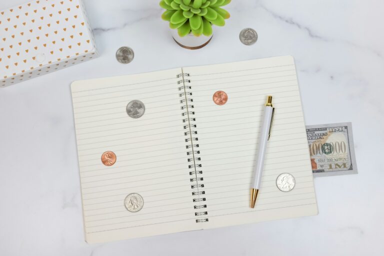 Teenager counting cash notebook