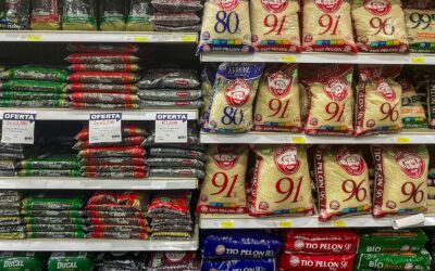 Practical ways to reduce grocery costs while still eating well