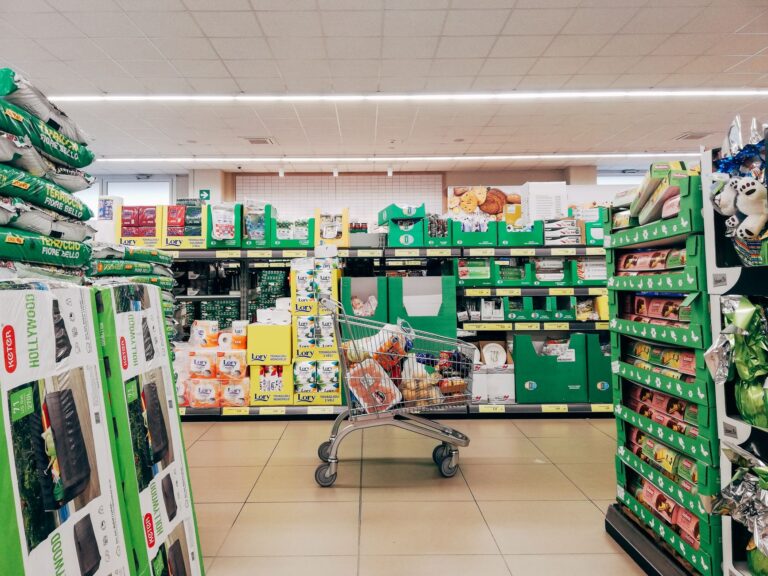 Grocery shopping cart
