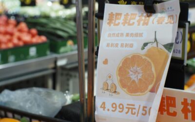 How inflation changes shopping habits and what businesses can learn from it