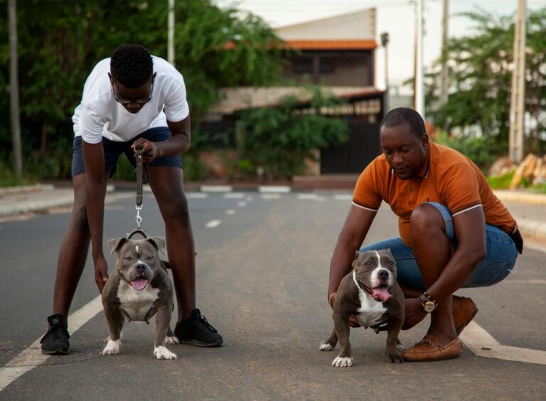 Dog sitter walking