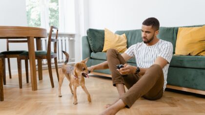 How to turn weekend house sitting into a practical way to make money