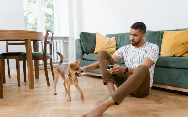 How to turn weekend house sitting into a practical way to make money