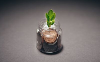 How compounding turns small, regular investments into long-term wealth