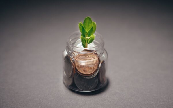 How compounding turns small, regular investments into long-term wealth