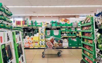 How grocery price inflation is reshaping shopping habits and business strategies