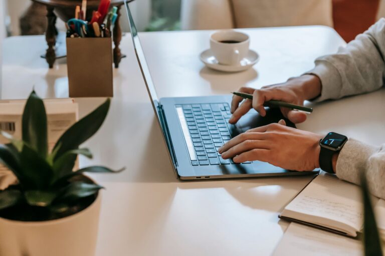 Freelancer working laptop