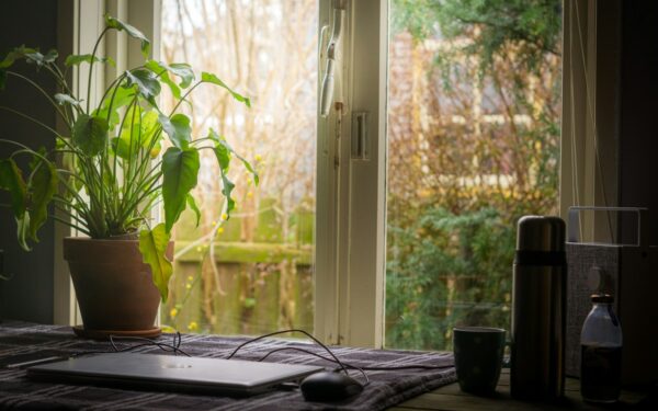 How the remote work infrastructure boom is reshaping local economies
