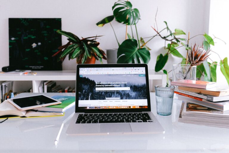 Freelancer laptop home