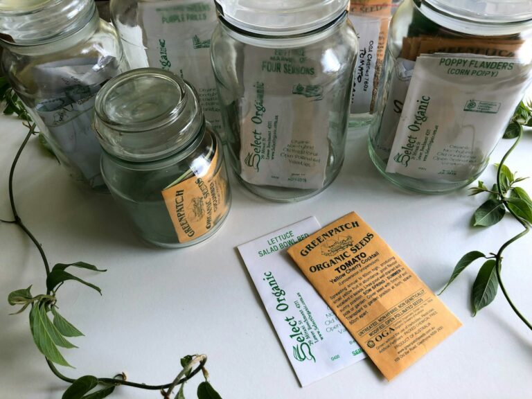 Glass jars labeled