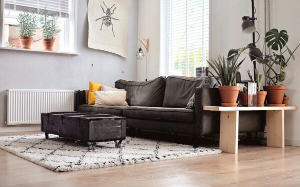 How to turn unused household items into a steady cash stream