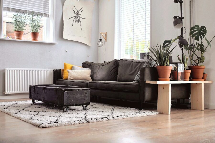 Living room decluttering