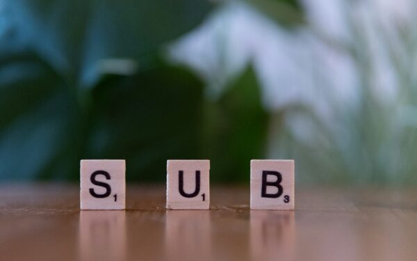 How subscription models are spreading beyond streaming and what it means for household budgets